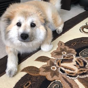 Meet your Posher, Kristina